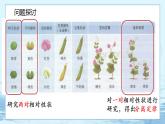 1.2 孟德尔的豌豆杂交实验（二）-高中生物 课件+练习（人教版2019 必修2）