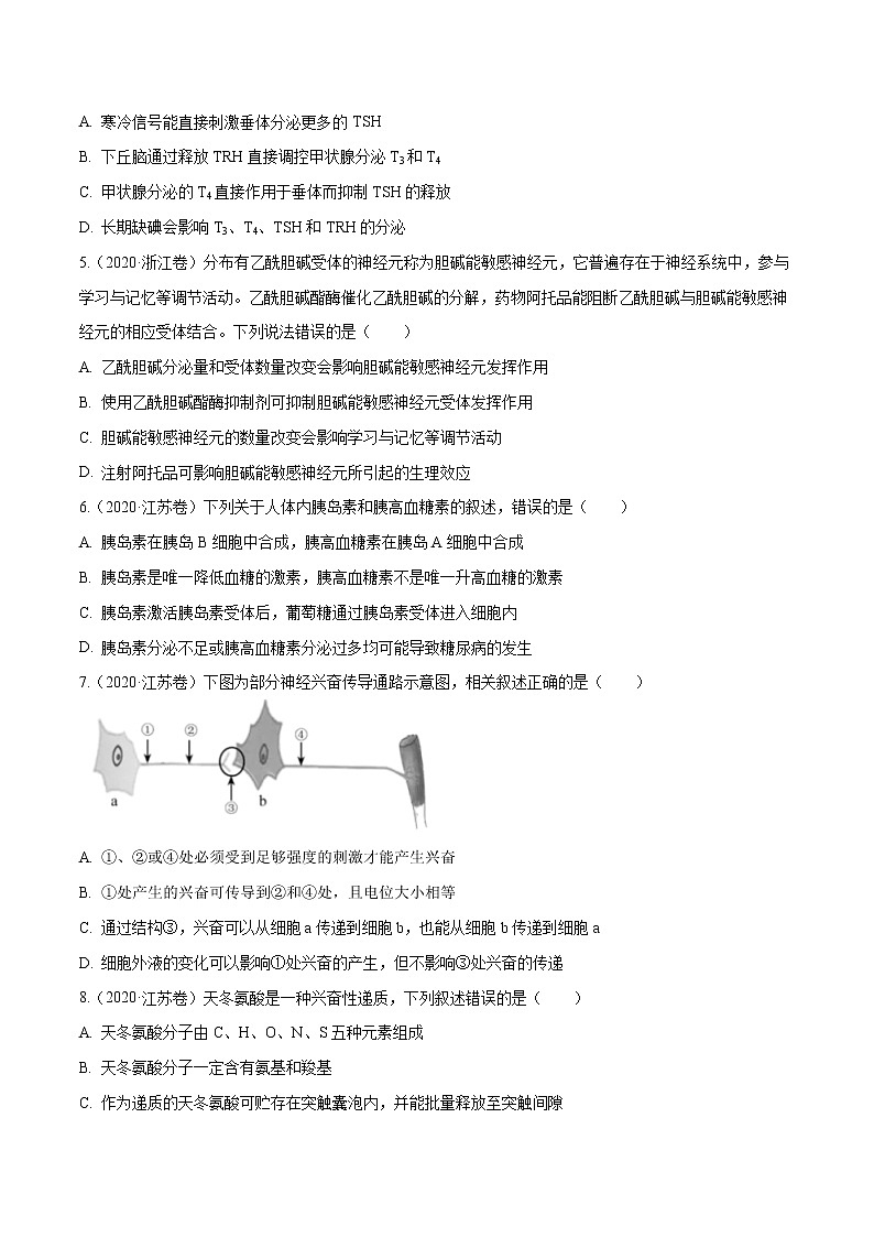 高中生物专题08 神经调节与体液调节-十年（2011-2020）高考真题生物分项详解（无答案）02