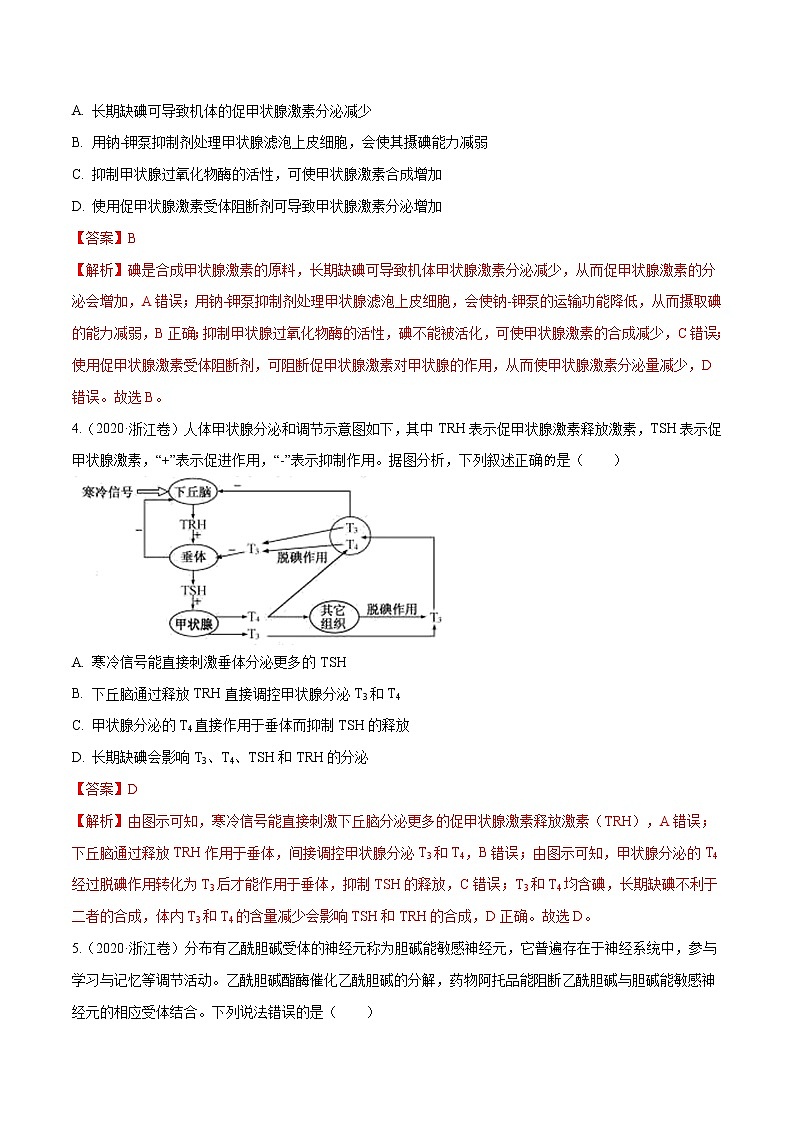 高中生物专题08 神经调节与体液调节-十年（2011-2020）高考真题生物分项详解（有答案）02