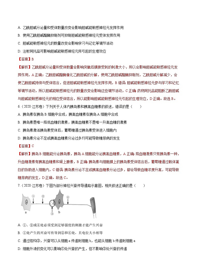 高中生物专题08 神经调节与体液调节-十年（2011-2020）高考真题生物分项详解（有答案）03