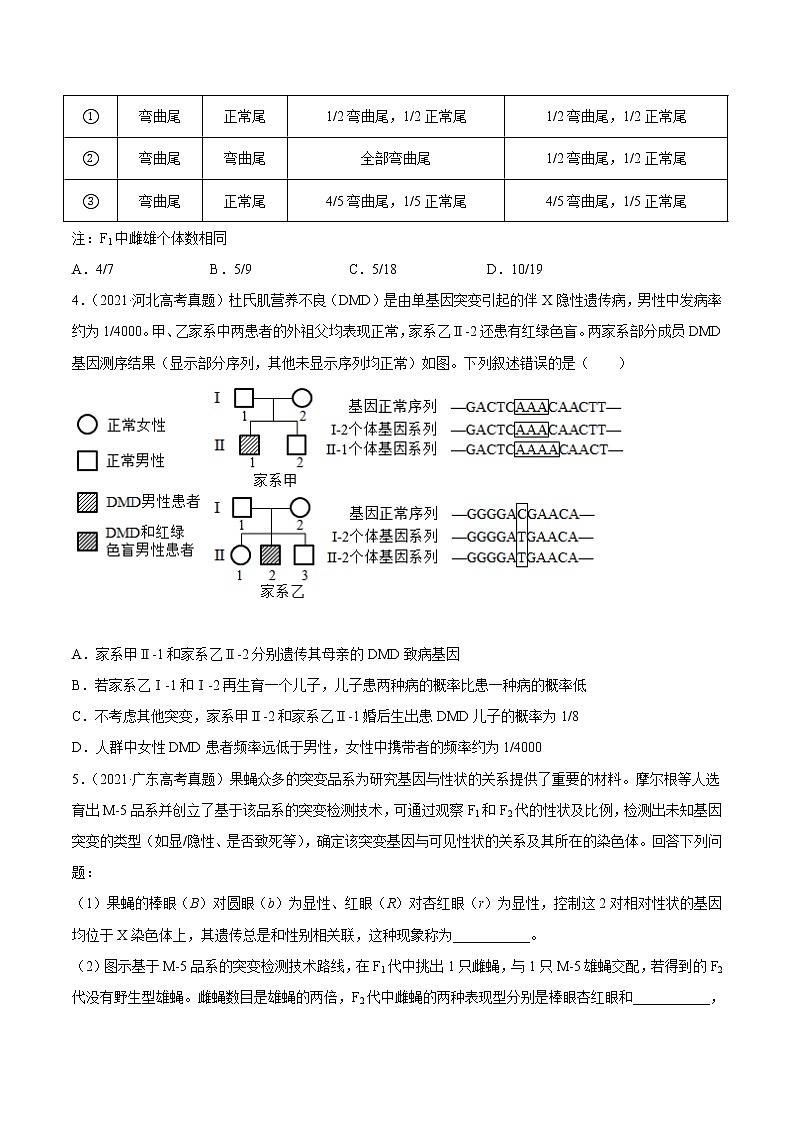 高中生物专题9 伴性遗传和人类遗传病-2021年高考真题和模拟题生物分项汇编（无答案）第2页