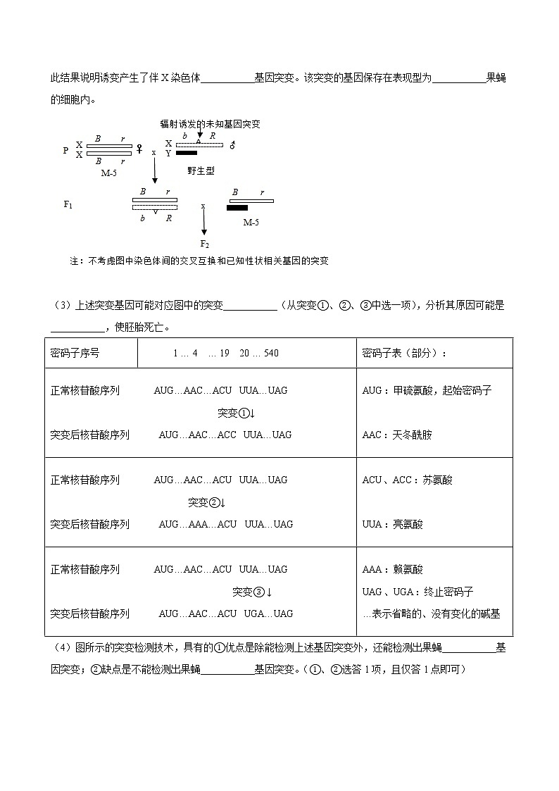高中生物专题9 伴性遗传和人类遗传病-2021年高考真题和模拟题生物分项汇编（无答案）第3页