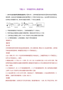 高中生物专题10 伴性遗传和人类遗传病-2020年高考真题和模拟题生物分项汇编（教师版含解析）