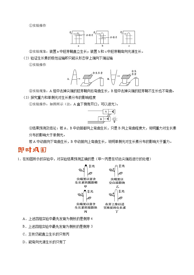 高中生物专题10 植物的激素调节-备战2019年高考生物之纠错笔记系列（无答案）第2页