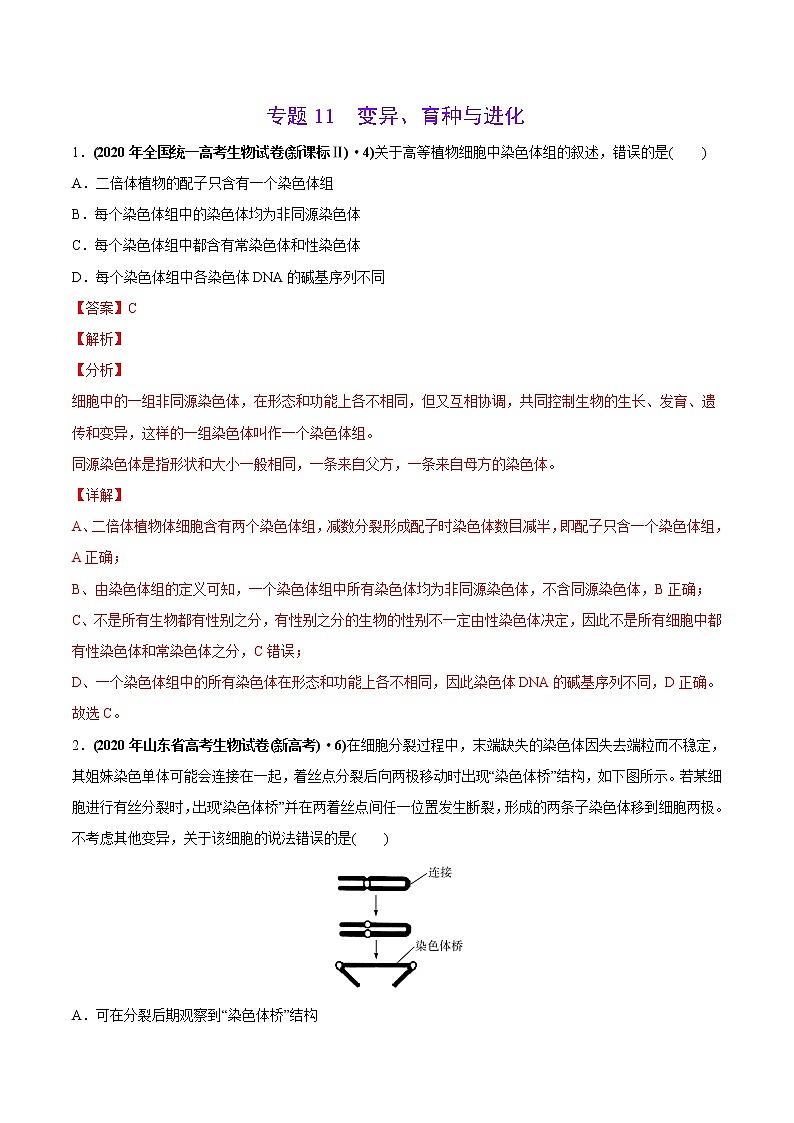 高中生物专题11 变异、育种与进化-2020年高考真题和模拟题生物分项汇编（教师版含解析）01