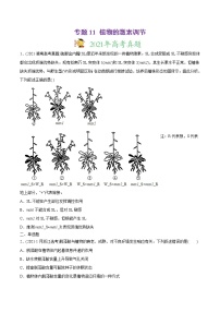 高中生物专题11 植物的激素调节-2021年高考生物真题与模拟题分类训练（学生版）