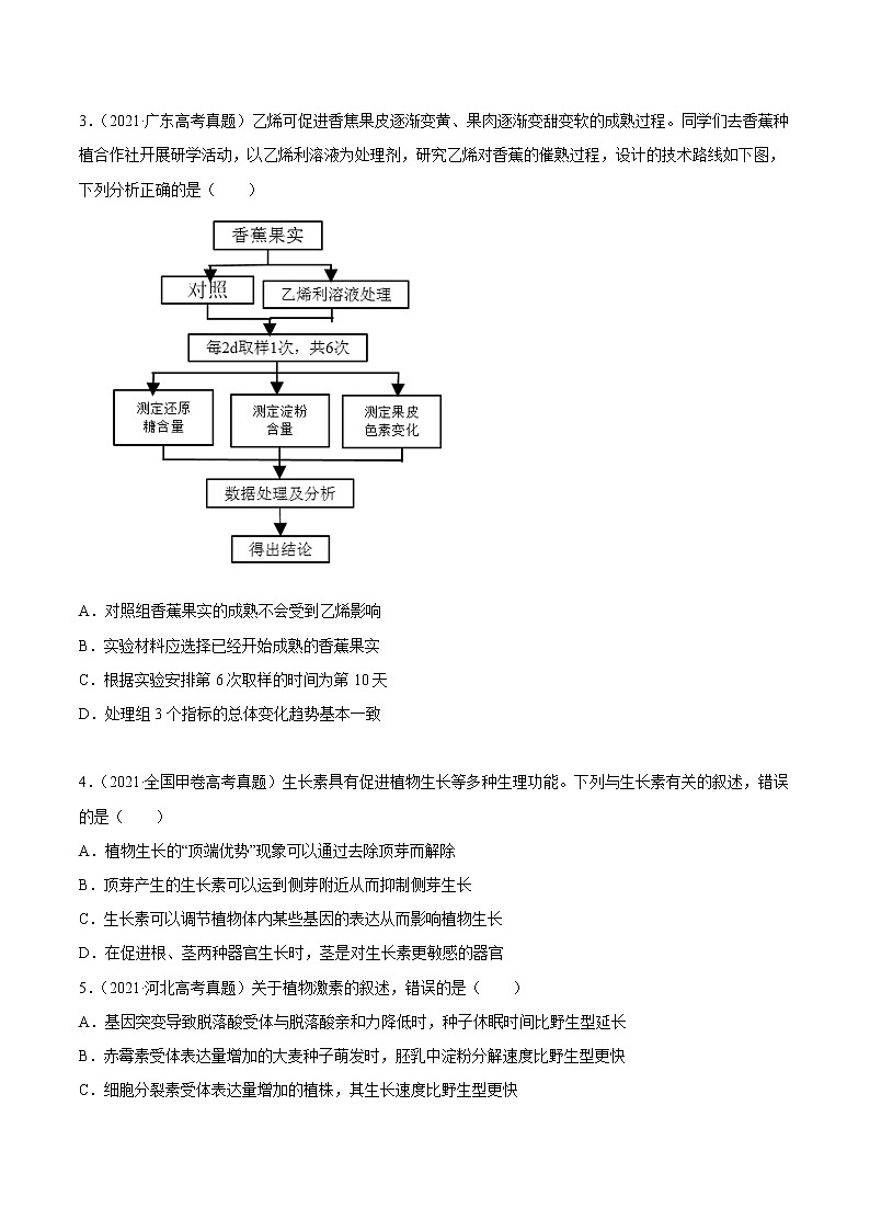 高中生物专题11 植物的激素调节-2021年高考真题和模拟题生物分项汇编（无答案）02