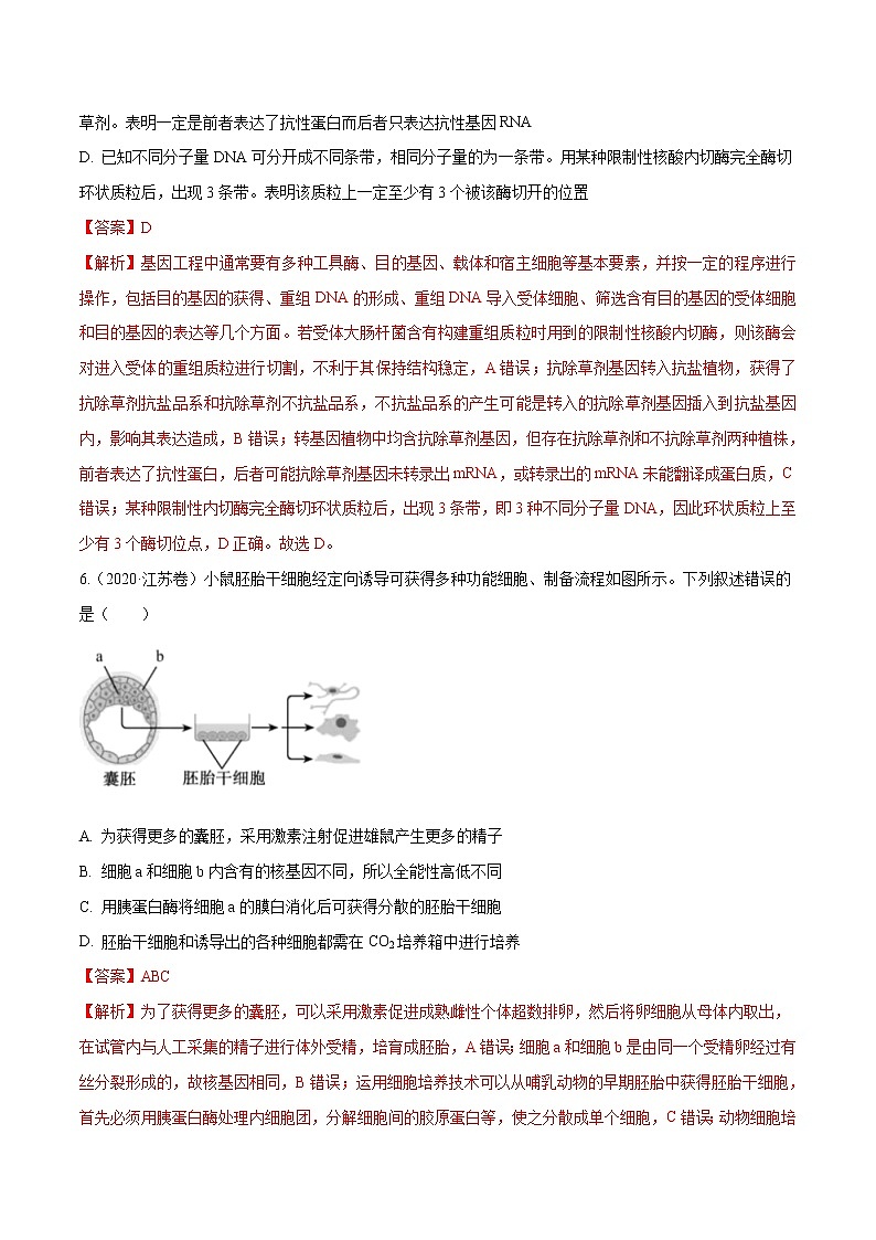 高中生物专题12 现代生物科技专题-十年（2011-2020）高考真题生物分项详解（有答案）03
