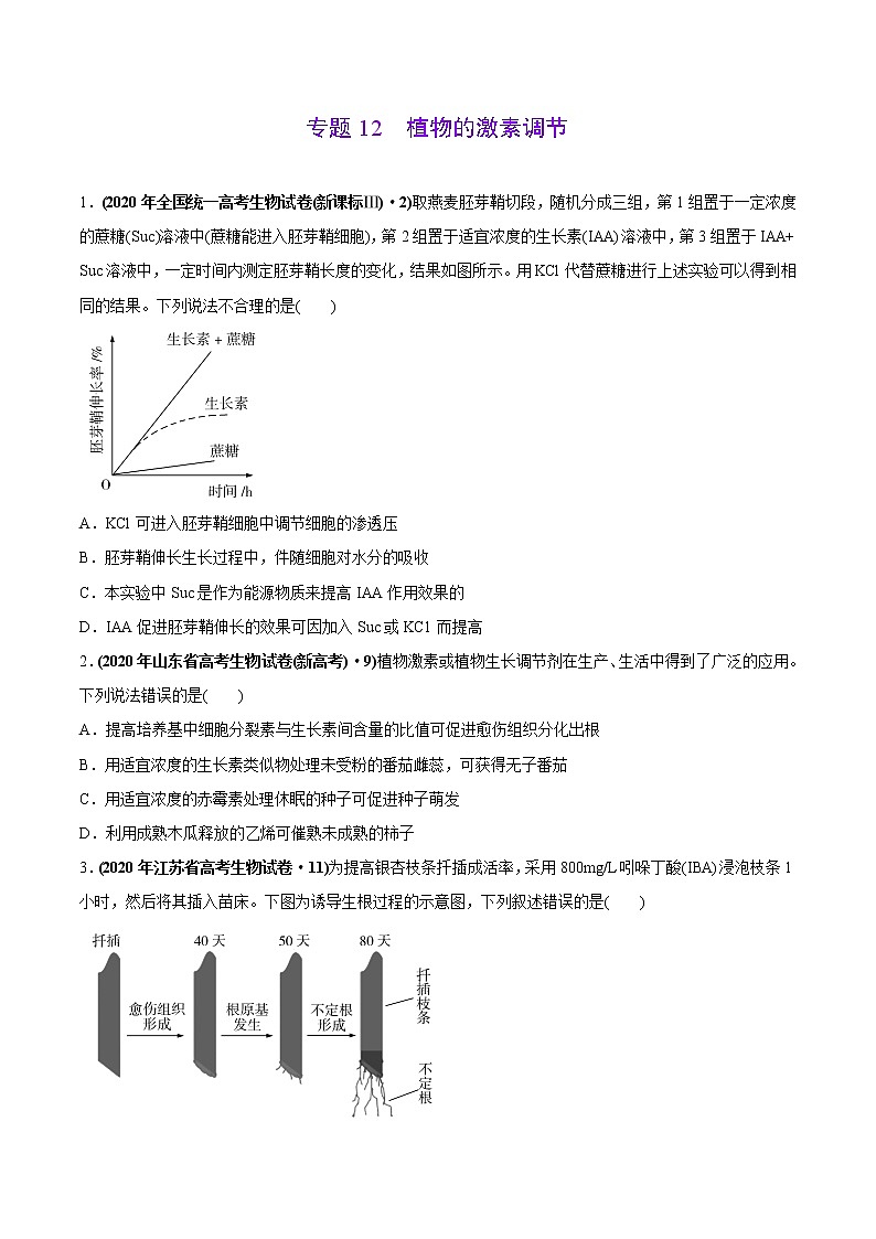 高中生物专题12 植物的激素调节-2020年高考真题和模拟题生物分项汇编（学生版）01