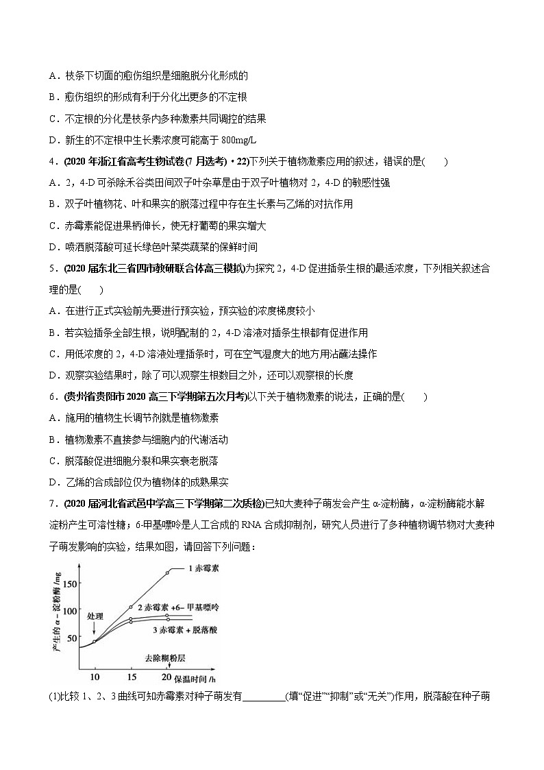 高中生物专题12 植物的激素调节-2020年高考真题和模拟题生物分项汇编（学生版）02