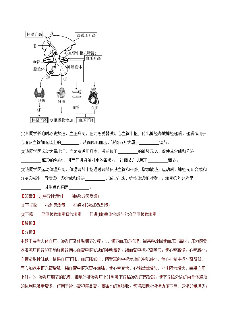 高中生物专题13 内环境及其稳态-2020年高考真题和模拟题生物分项汇编（教师版含解析）第2页