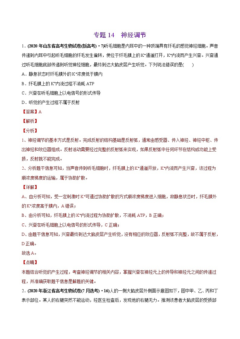 高中生物专题14 神经调节-2020年高考真题和模拟题生物分项汇编（教师版含解析）第1页