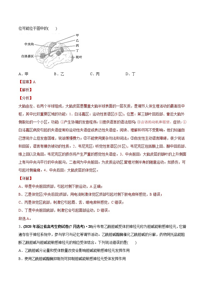 高中生物专题14 神经调节-2020年高考真题和模拟题生物分项汇编（教师版含解析）第2页