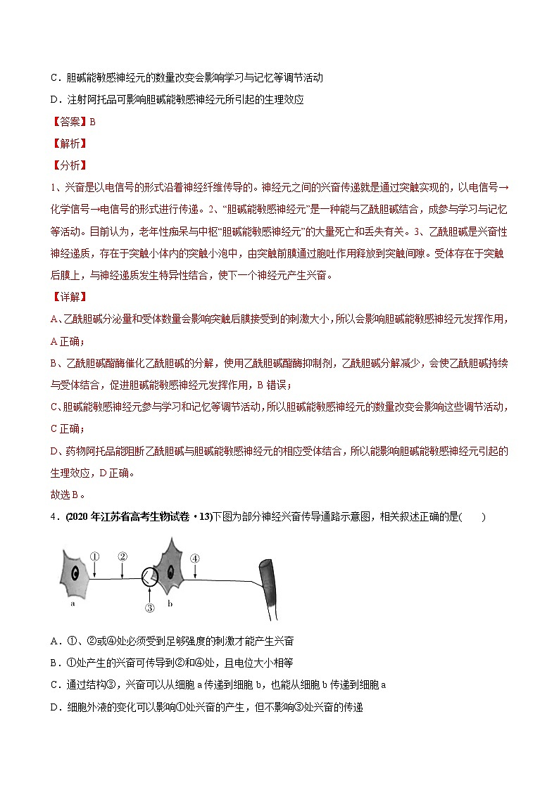 高中生物专题14 神经调节-2020年高考真题和模拟题生物分项汇编（教师版含解析）第3页