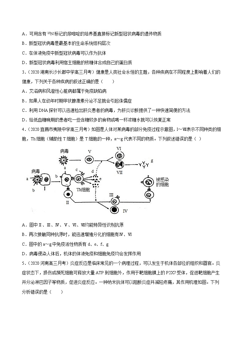 高中生物专题15 免疫调节-2021年高考真题和模拟题生物分项汇编（无答案）03