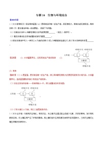 高中生物专题16 生物与环境综合-十年（2011-2020）高考真题生物分项详解（有答案）