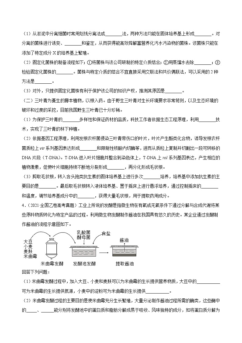 高中生物专题18 生物技术实践-2021年高考真题和模拟题生物分项汇编（无答案）02