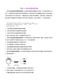 高中生物专题20 现代生物科技专题-2020年高考真题和模拟题生物分项汇编（学生版）