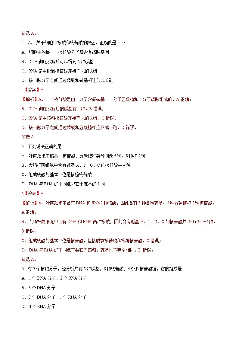 高中生物专题1.4 遗传信息的携带者——核酸（必刷试题）-2021年高考生物大一轮复习紧跟教材（有答案）第2页