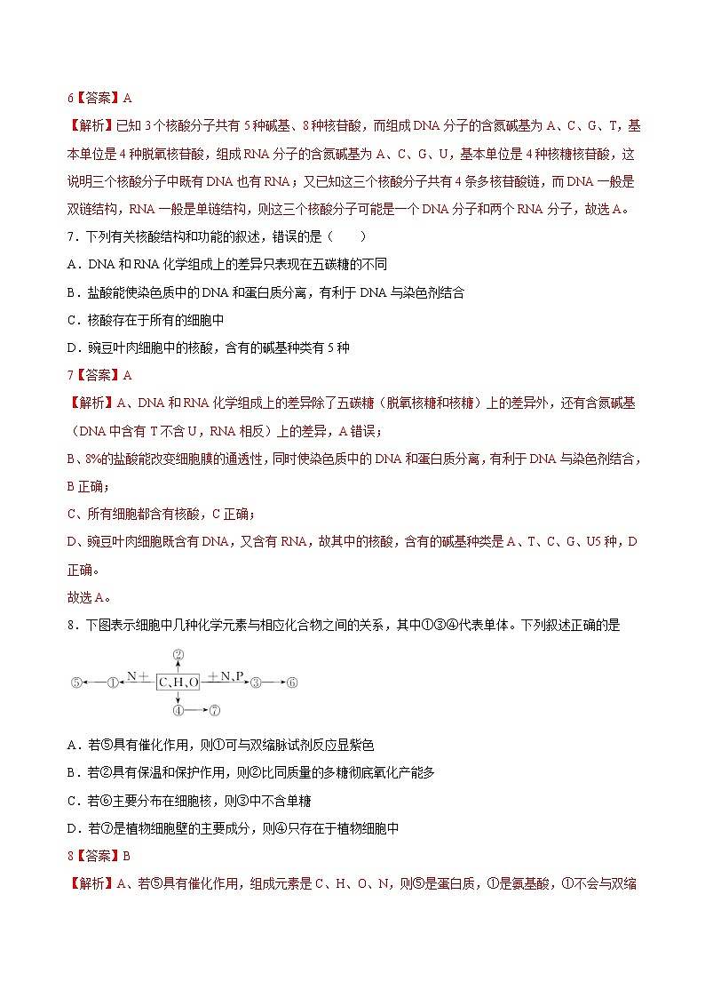高中生物专题1.4 遗传信息的携带者——核酸（必刷试题）-2021年高考生物大一轮复习紧跟教材（有答案）第3页