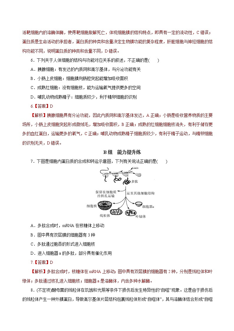 高中生物专题2.2 细胞器——系统的分工合作（必刷试题）-2021年高考生物大一轮复习紧跟教材（有答案）第3页