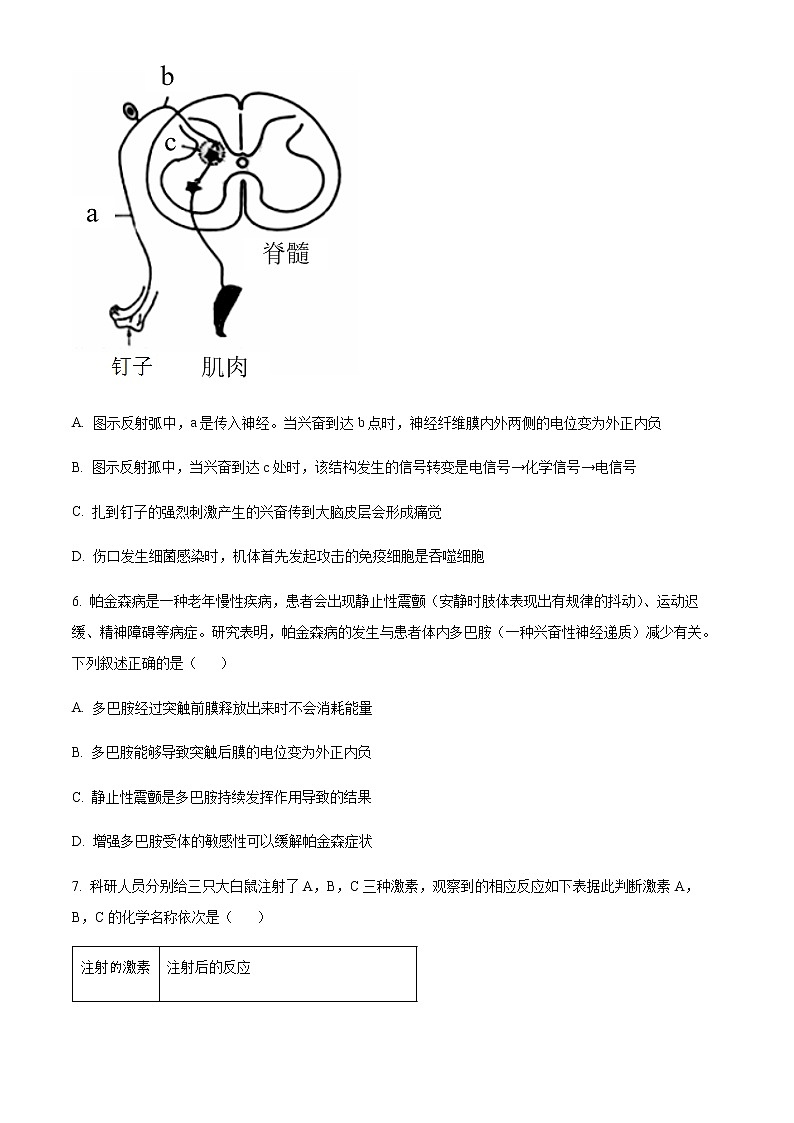 2023天津市部分区高二上学期期中练习生物试题含答案02