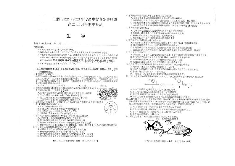 2023山西省高中教育发展联盟高二上学期11月期中检测生物PDF版含答案01
