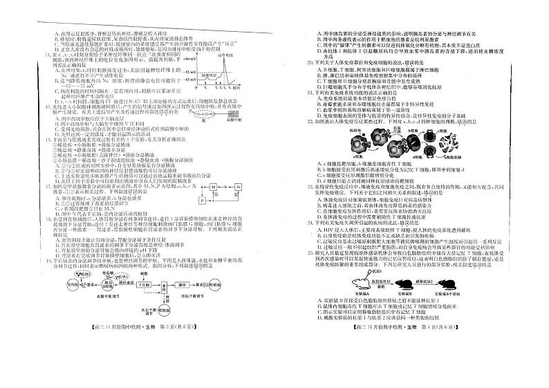 2023山西省高中教育发展联盟高二上学期11月期中检测生物PDF版含答案02