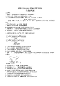 2023宜宾叙州区二中校高二上学期期中考试生物试题含答案