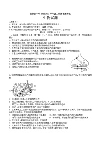 2023宜宾叙州区一中高二上学期期中考试生物试题含答案