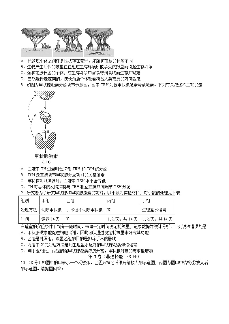 2023泸州泸县四中高二上学期期中考试生物试题含答案02