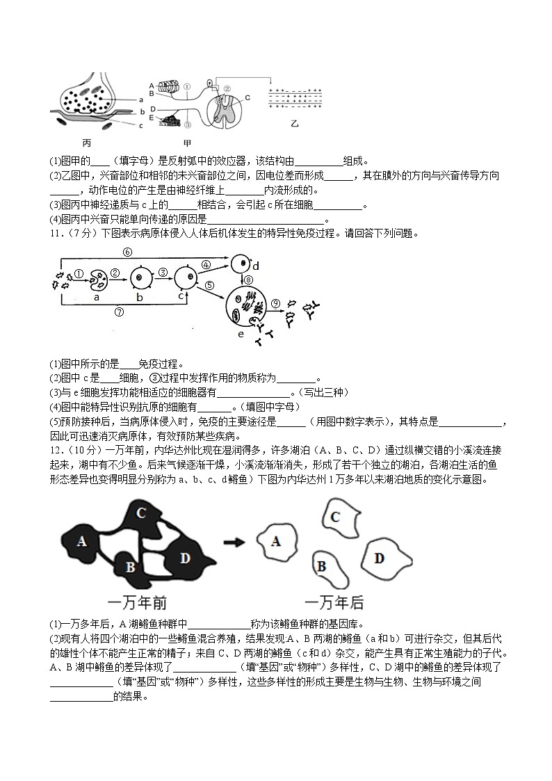 2023泸州泸县四中高二上学期期中考试生物试题含答案03
