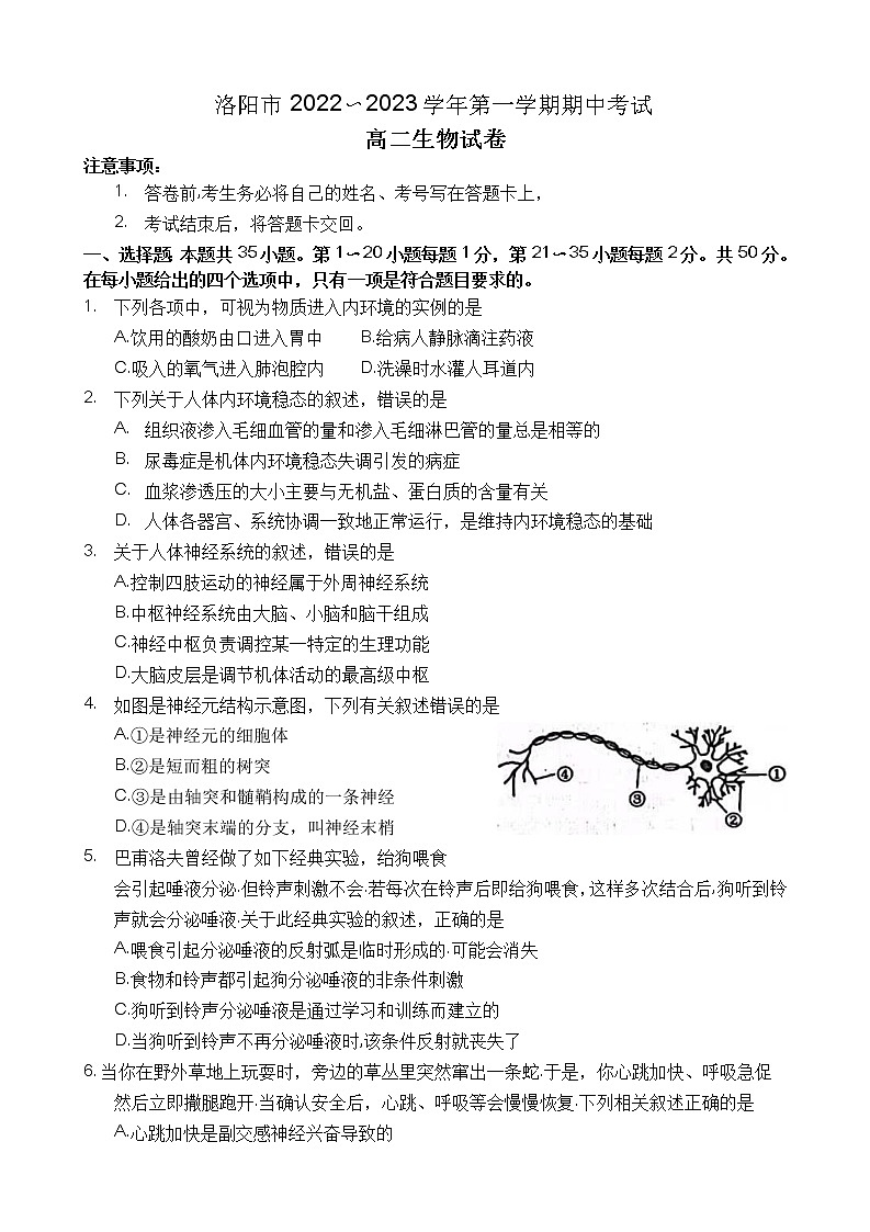 2023洛阳高二上学期期中考试生物含答案第1页