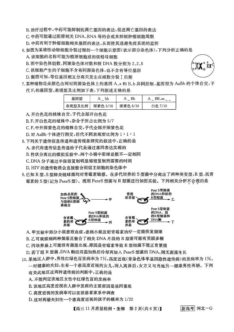 2023届九师联盟（新高考河北）高三上学期11月月考生物试题 PDF版第2页