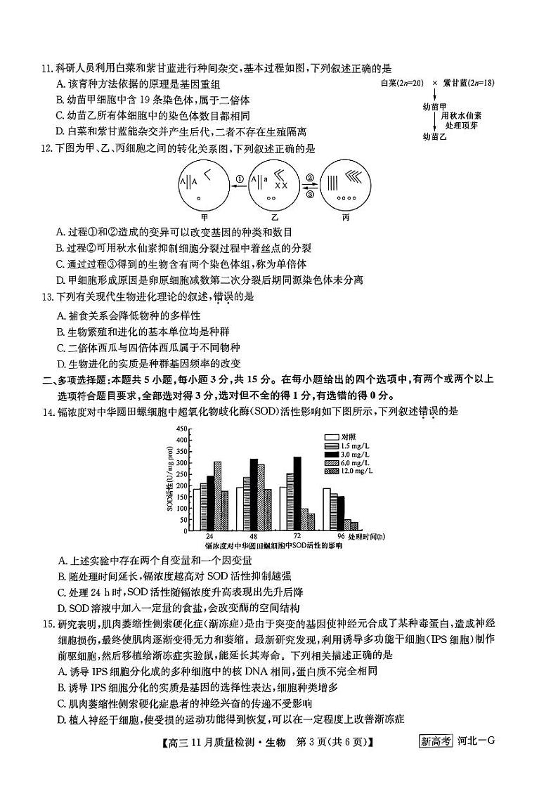 2023届九师联盟（新高考河北）高三上学期11月月考生物试题 PDF版第3页