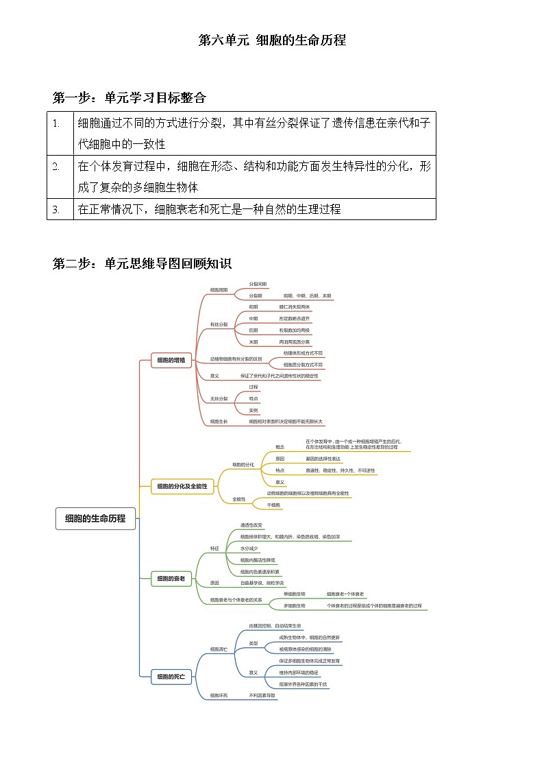 高一上学期生物人教版必修1第六单元 细胞的生命历程单元复习学案第1页