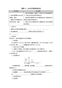 高中生物人教版 (2019)必修1《分子与细胞》二 光合作用的原理和应用导学案及答案