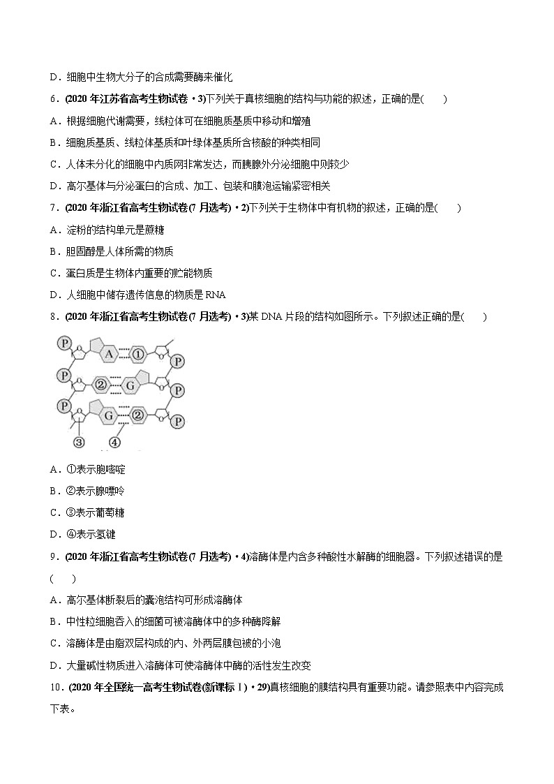 高中生物专题01 细胞的组成与结构-2020年高考真题和模拟题生物分项汇编（学生版）第2页