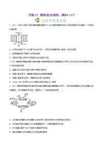 高中生物专题02 物质进出细胞、酶和ATP-2021年高考生物真题与模拟题分类训练（学生版）