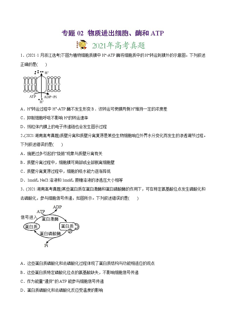 高中生物专题02 物质进出细胞、酶和ATP-2021年高考生物真题与模拟题分类训练（学生版）01
