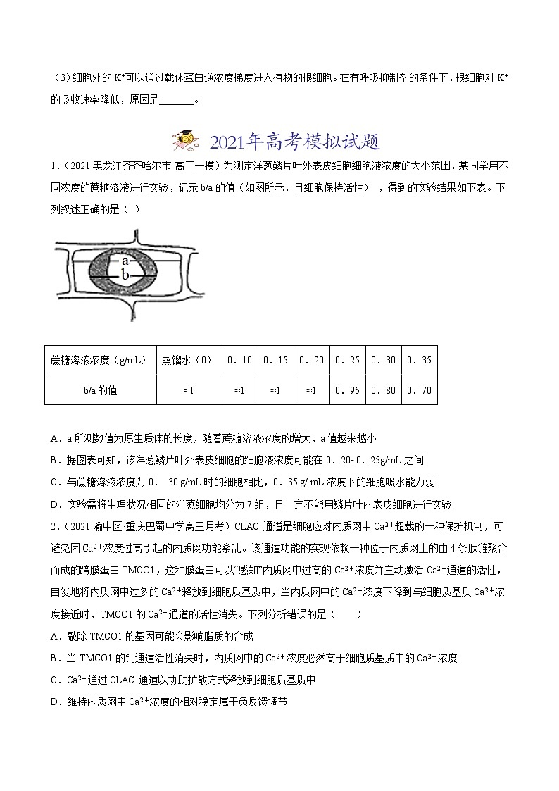 高中生物专题02 物质进出细胞、酶和ATP-2021年高考真题和模拟题生物分项汇编（无答案）03