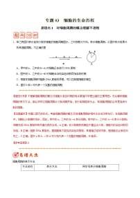 高中生物专题03 细胞的生命历程-备战2019年高考生物之纠错笔记系列（有答案）