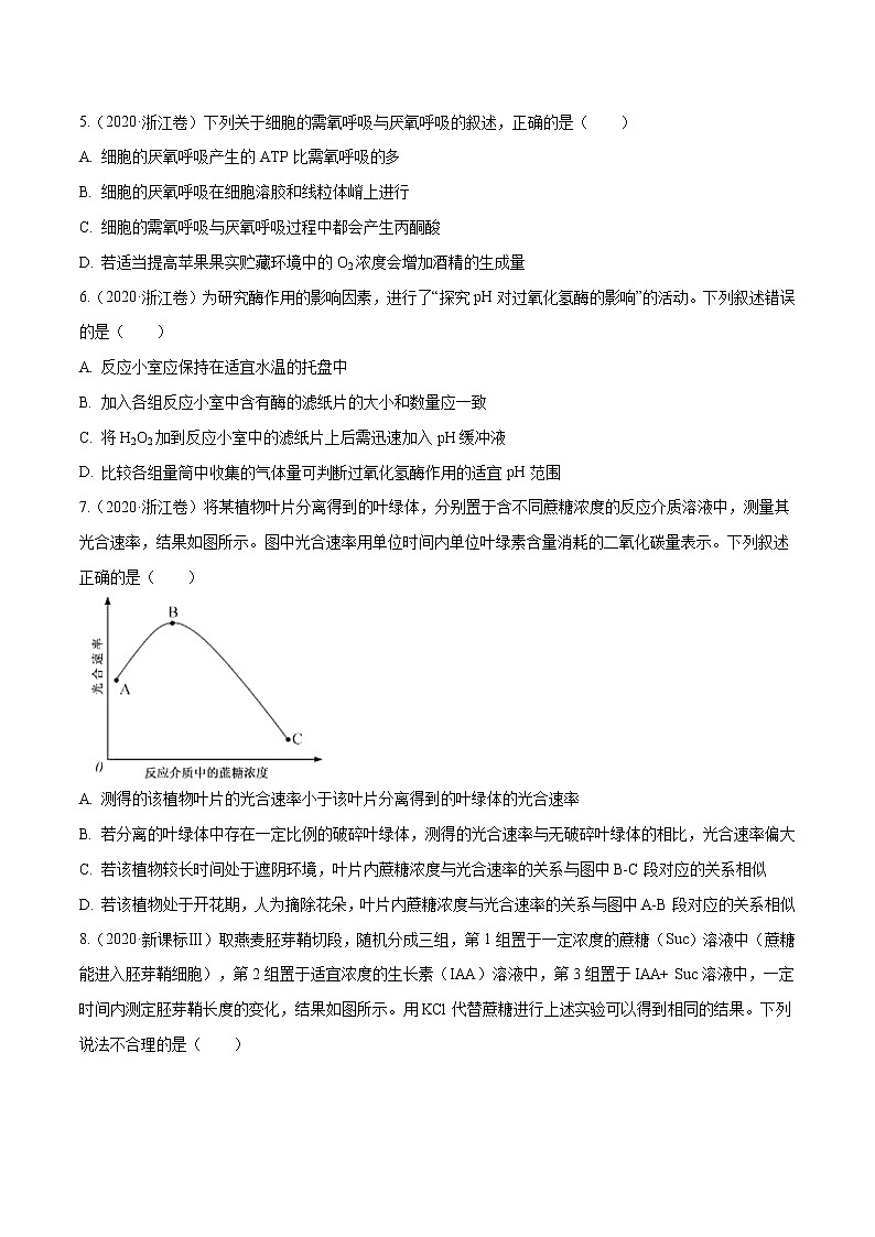 高中生物专题02 细胞的能量与代谢-十年（2011-2020）高考真题生物分项详解（无答案）02