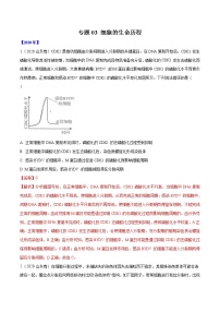 高中生物专题03 细胞的生命历程-十年（2011-2020）高考真题生物分项详解（有答案）