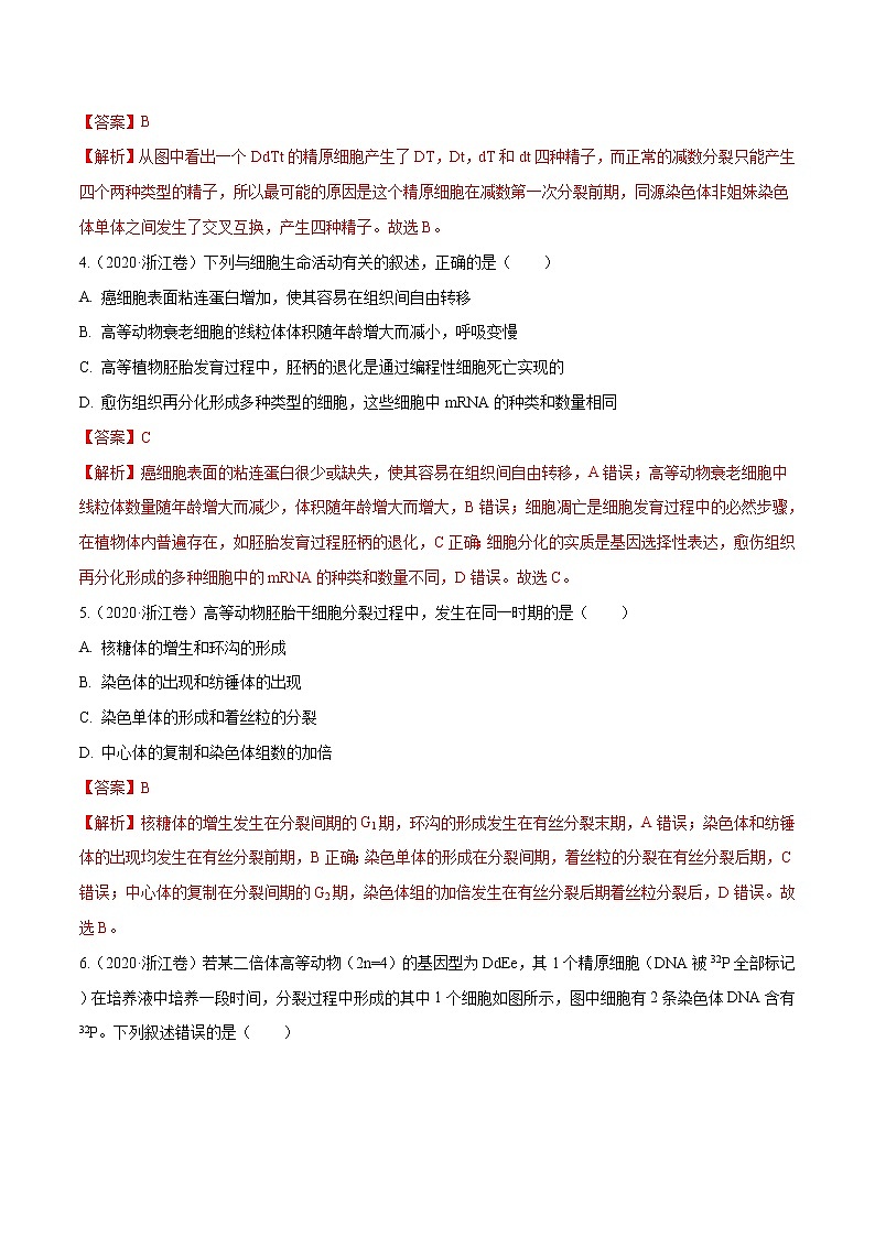 高中生物专题03 细胞的生命历程-十年（2011-2020）高考真题生物分项详解（有答案）第3页