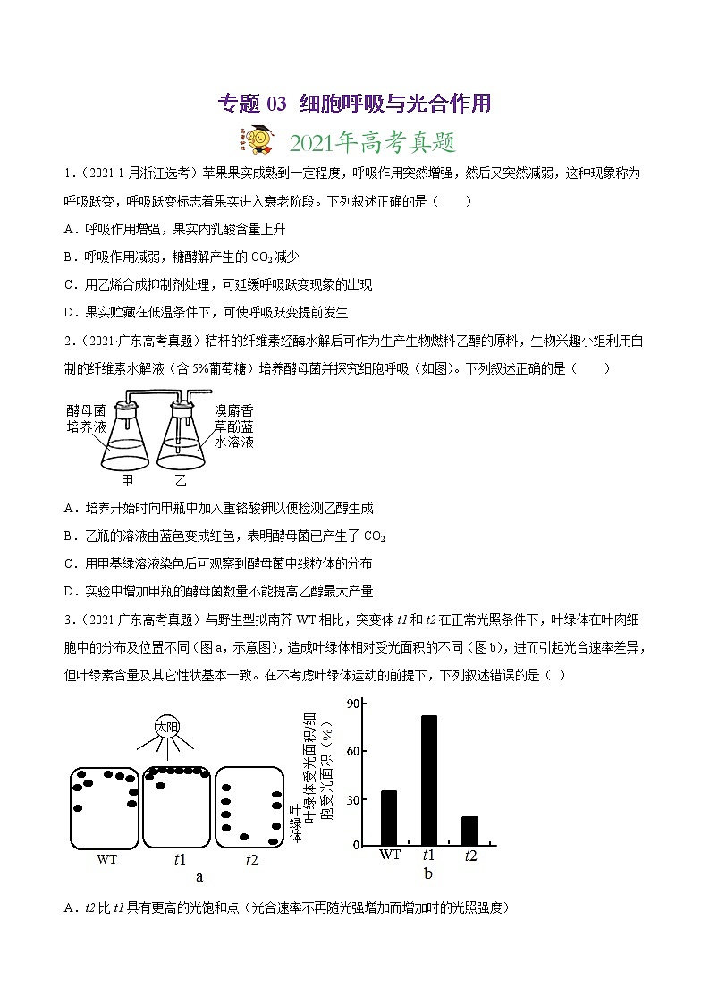 高中生物专题03 细胞呼吸与光合作用-2021年高考真题和模拟题生物分项汇编（无答案）01