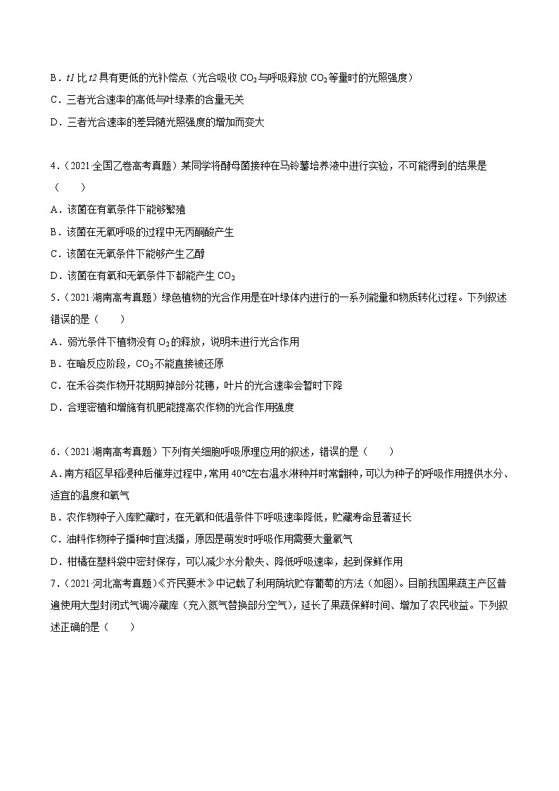 高中生物专题03 细胞呼吸与光合作用-2021年高考真题和模拟题生物分项汇编（无答案）02