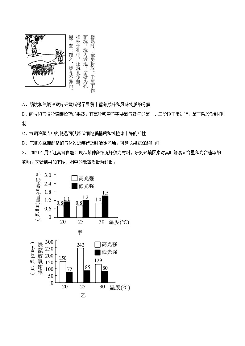 高中生物专题03 细胞呼吸与光合作用-2021年高考真题和模拟题生物分项汇编（无答案）03