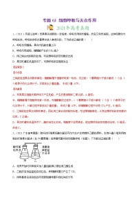 高中生物专题03 细胞呼吸与光合作用-2021年高考真题和模拟题生物分项汇编（有答案）