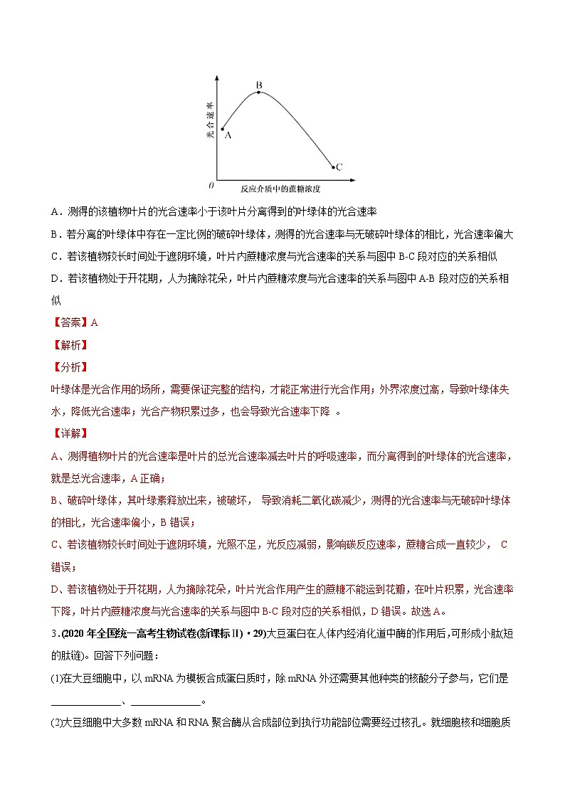 高中生物专题04 光合作用-2020年高考真题和模拟题生物分项汇编（教师版含解析）第2页